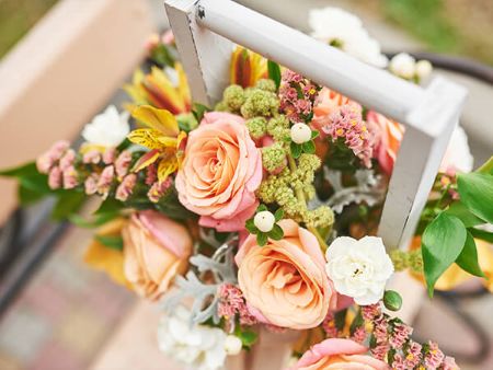 Cửa hàng hoa Lyly